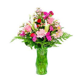 Crimson Passion Rose